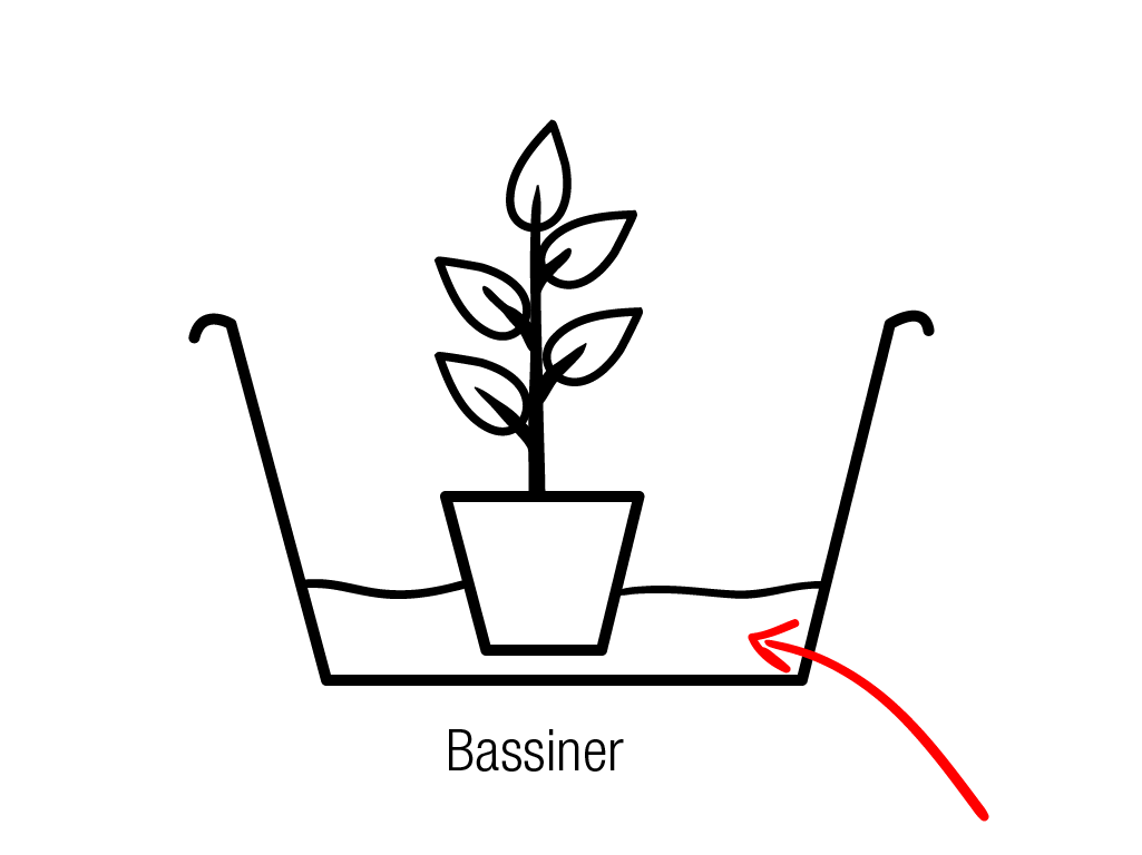 Bassiner