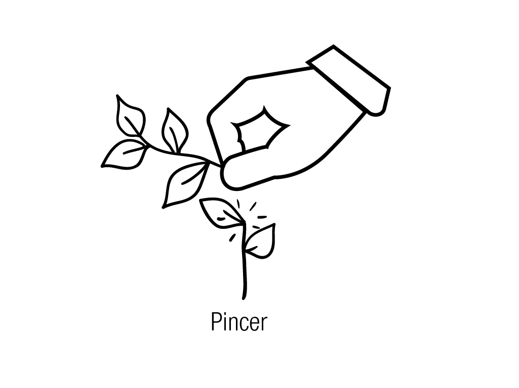 Pincer